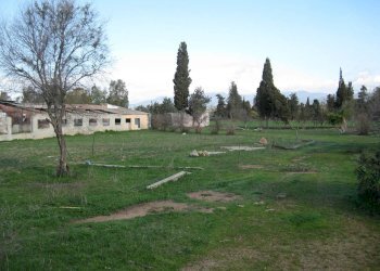 dall\'ingresso principale - Casa indipendente Quartucciu - foto 5