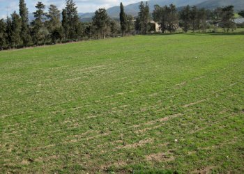 verso il confine interno - Casa indipendente Quartucciu - foto 11