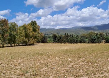 panoramica (1).jpg - Casa indipendente Quartucciu - foto 10