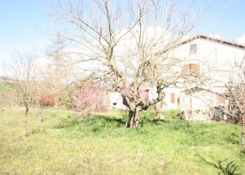 casa - Rustico piazza Giuseppe Romita, 12, Moncalvo - foto 5
