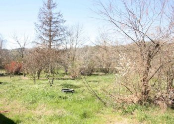 terreno - Rustico piazza Giuseppe Romita, 12, Moncalvo - foto 7