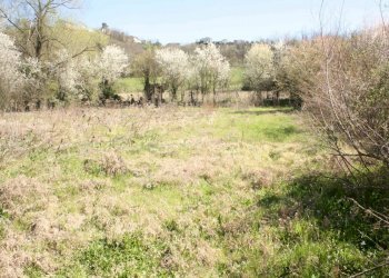 terreno - Rustico piazza Giuseppe Romita, 12, Moncalvo - foto 12