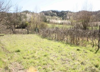 terreno - Rustico piazza Giuseppe Romita, 12, Moncalvo - foto 16