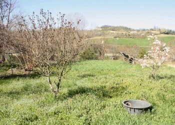 terreno - Rustico piazza Giuseppe Romita, 12, Moncalvo - foto 17