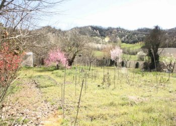 terreno - Rustico piazza Giuseppe Romita, 12, Moncalvo - foto 26