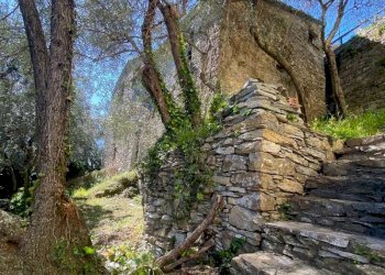 Viste - Rustico via dei Tessitori, Zoagli - foto 14