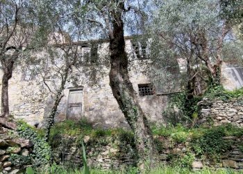 Viste - Rustico via dei Tessitori, Zoagli - foto 17