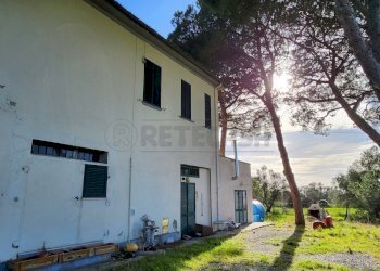 20230325_162557.jpg - Casale Via Aurelia 25, Cecina - foto 13