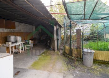 _85N2516.JPG - Terratetto - Terracielo Ciriè - foto 6