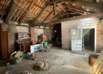 WhatsApp Image 2024-07-27 at 11.57.42.jpeg - Terratetto - Terracielo Ciriè - foto 22