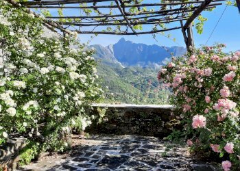 CasaB. terrazzo in fiore 20200508_164446.jpg - Villa Località Luscignano 18, Casola in Lunigiana - photo 2