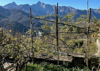 IMG_5373.jpg - Villa Località Luscignano 18, Casola in Lunigiana - photo 21
