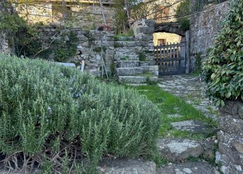 IMG_5374.jpg - Villa Località Luscignano 18, Casola in Lunigiana - photo 23