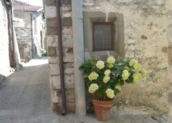 P1050564.JPG - Townhouse Località Luscignano 18, Casola in Lunigiana - photo 9