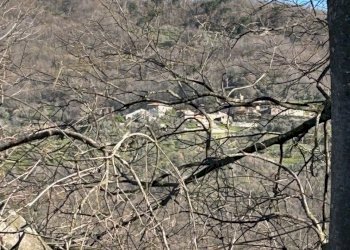 IMG_5424.jpg - Townhouse Località Luscignano 18, Casola in Lunigiana - photo 21