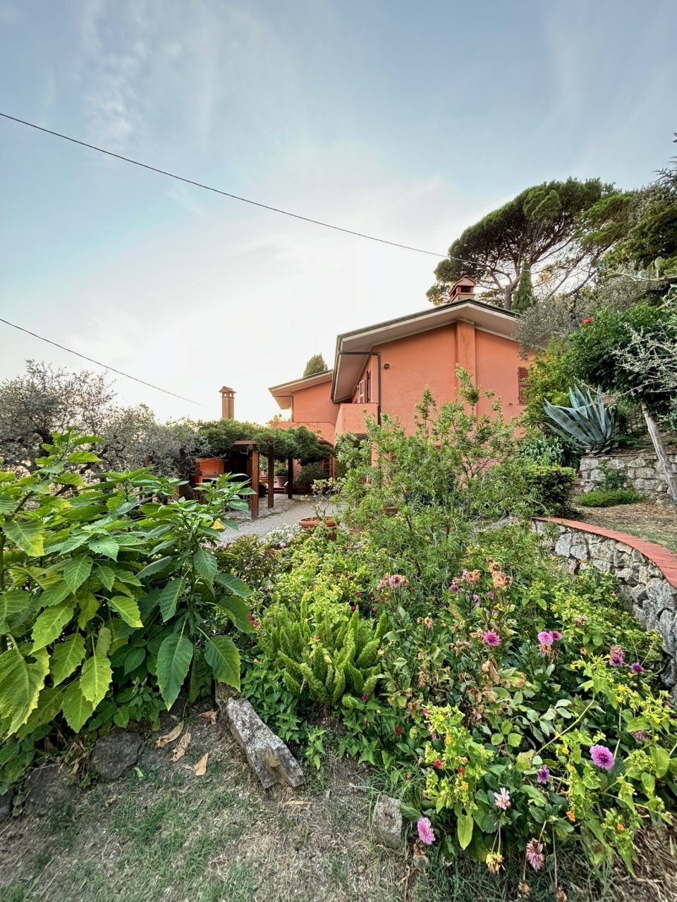 IMG_3703.jpg - Villa Fosdinovo - foto 2