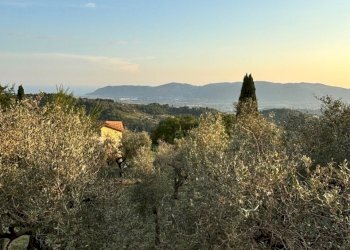 IMG_3721.jpg - Villa Fosdinovo - foto 20
