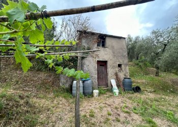 WhatsApp Image 2023-08-04 at 09.27.36 (5).jpeg - Terreno edificabile Arcola - foto 4