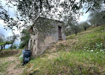 WhatsApp Image 2023-08-04 at 09.27.36 (3).jpeg - Terreno edificabile Arcola - foto 5