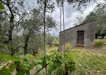 WhatsApp Image 2023-08-04 at 09.27.35 (1).jpeg - Terreno edificabile Arcola - foto 6