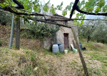 WhatsApp Image 2023-08-04 at 09.27.36 (7).jpeg - Terreno edificabile Arcola - foto 7