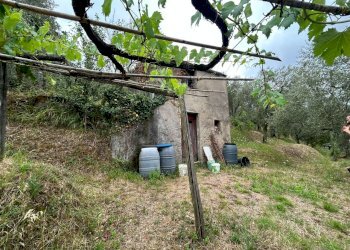 WhatsApp Image 2023-08-04 at 09.27.36 (6).jpeg - Terreno edificabile Arcola - foto 2