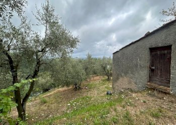 WhatsApp Image 2023-08-04 at 09.27.35 (2).jpeg - Terreno edificabile Arcola - foto 8