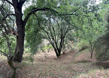 WhatsApp Image 2023-08-04 at 09.27.33 (1).jpeg - Terreno edificabile Arcola - foto 15