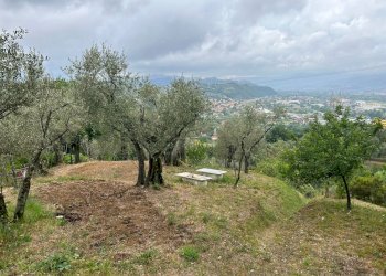 WhatsApp Image 2023-08-04 at 09.27.33.jpeg - Terreno edificabile Arcola - foto 16