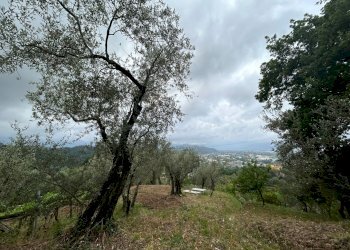 WhatsApp Image 2023-08-04 at 09.27.34 (3).jpeg - Terreno edificabile Arcola - foto 19