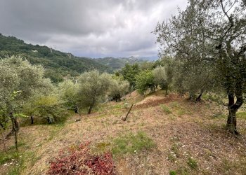 WhatsApp Image 2023-08-04 at 09.27.35 (3).jpeg - Terreno edificabile Arcola - foto 21