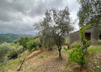 WhatsApp Image 2023-08-04 at 09.27.35 (4).jpeg - Terreno edificabile Arcola - foto 22