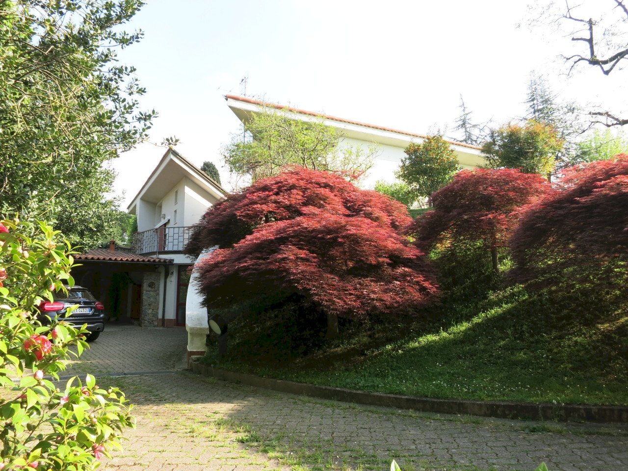 Immaginefoto nuove 027.jpg - Villa Sarzana - photo 3