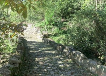 Immaginefoto nuove 108.jpg - Casale Fosdinovo - photo 7