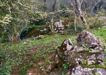 WhatsApp Image 2022-10-14 at 09.26.26 (1).jpeg - Monolocale Ameglia - foto 5