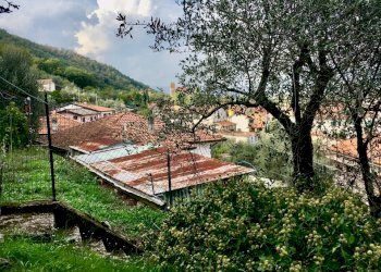 WhatsApp Image 2022-10-14 at 09.26.26 (2).jpeg - Monolocale Ameglia - foto 4