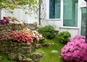 Cortile - Villa Sarzana - foto 4