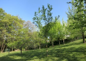 Immaginefoto nuove 015.jpg - Villa Sarzana - foto 18
