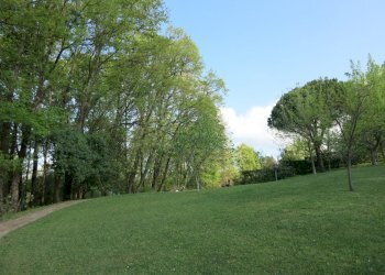 Immaginefoto nuove 020.jpg - Villa Sarzana - foto 22