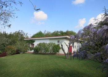 Immaginefoto nuove 024.jpg - Villa Sarzana - foto 24