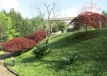 Immaginefoto nuove 026.jpg - Villa Sarzana - foto 25