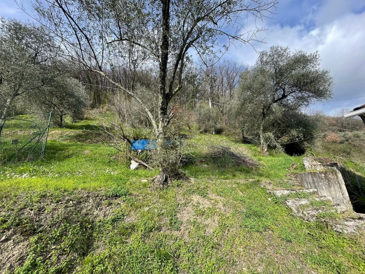 Terratetto - Terracielo Calice al Cornoviglio - foto 2