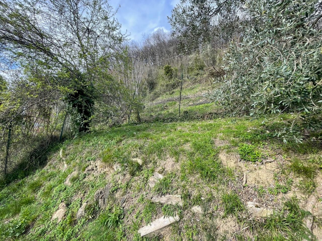 Terratetto - Terracielo Calice al Cornoviglio - foto 3