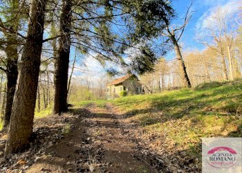 Rif 1299(Copy6).jpg - Rustico Via Marasca 28, Urbe - foto 6