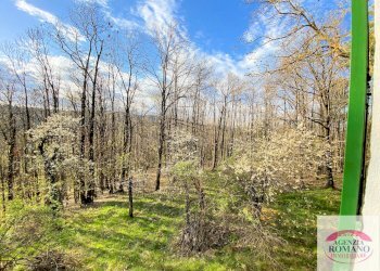 Rif 1299(Copy15).jpg - Rustico Via Marasca 28, Urbe - foto 8