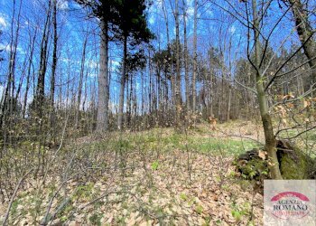 Rif 1299(Copy41).jpg - Rustico Via Marasca 28, Urbe - foto 20