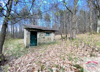 Rif 1299(Copy45).jpg - Rustico Via Marasca 28, Urbe - foto 21