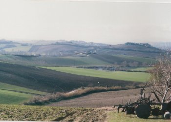 F.JPG - Villa via del tesoro, Ancona - foto 16