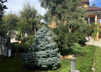 Villa Via lanzo, Ciriè - foto 22