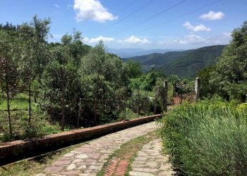 fo13.jpg - Villa Fosdinovo - photo 7